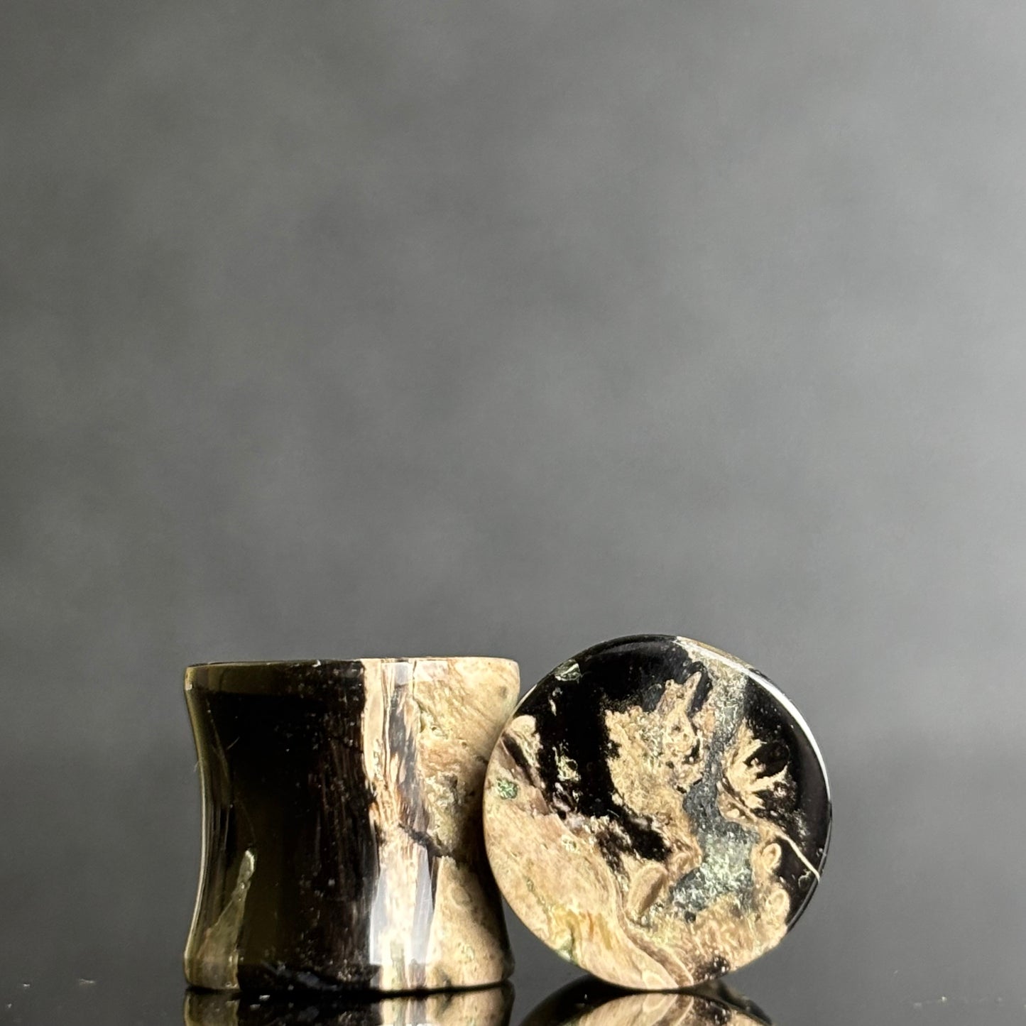 7/16" / 11mm Petrified Palm Root