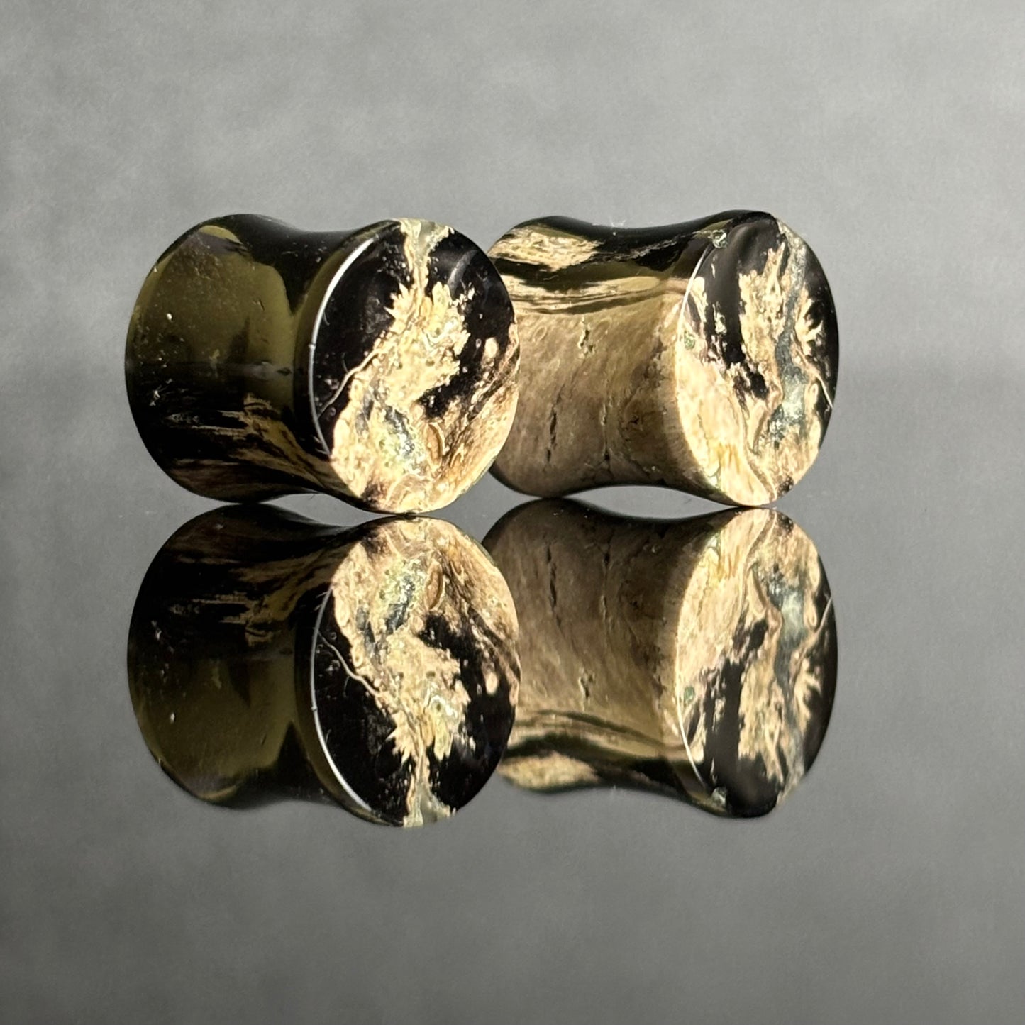 7/16" / 11mm Petrified Palm Root
