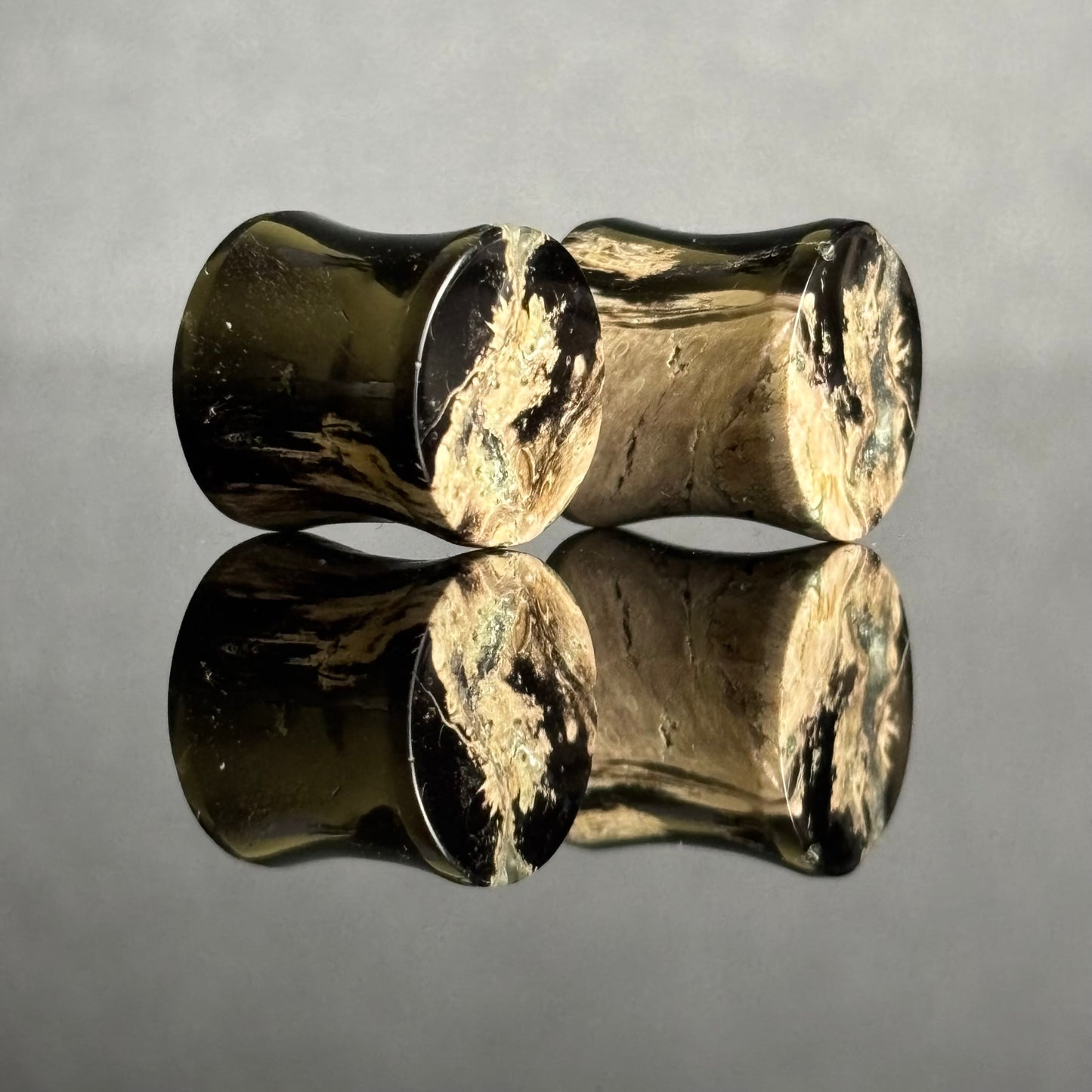 7/16" / 11mm Petrified Palm Root