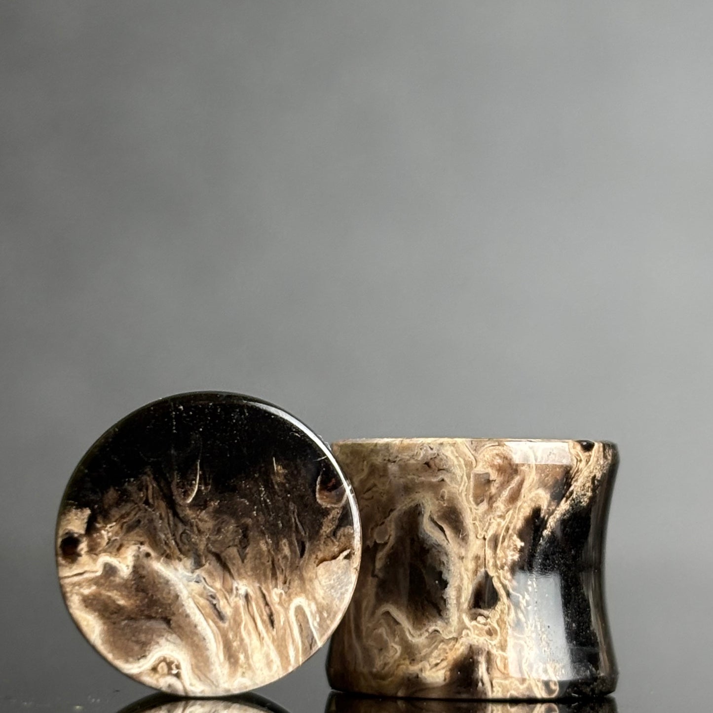 1/2" / 12.5mm Petrified Palm Root