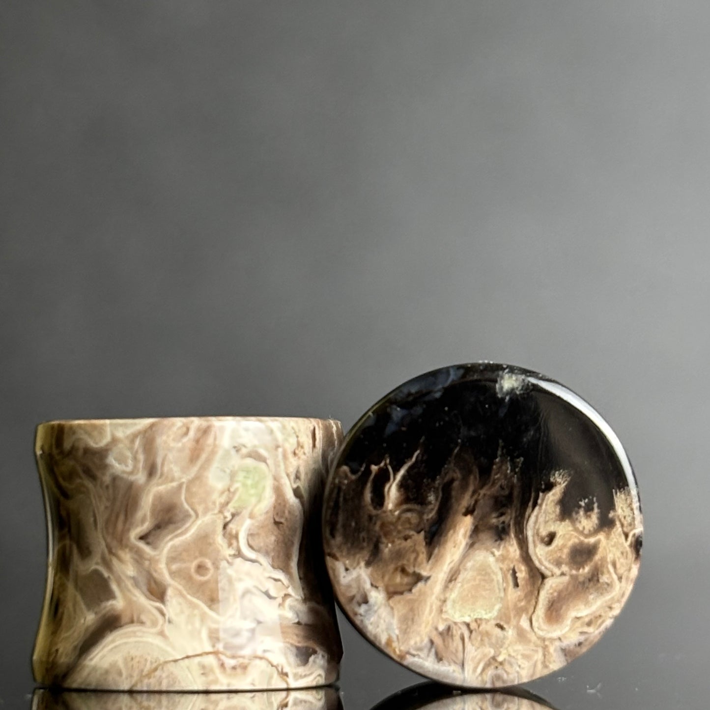 1/2" / 12.5mm Petrified Palm Root