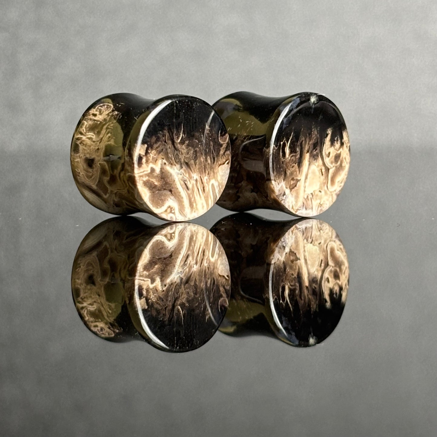 1/2" / 12.5mm Petrified Palm Root