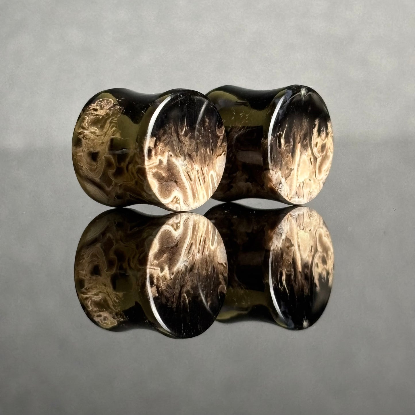 1/2" / 12.5mm Petrified Palm Root