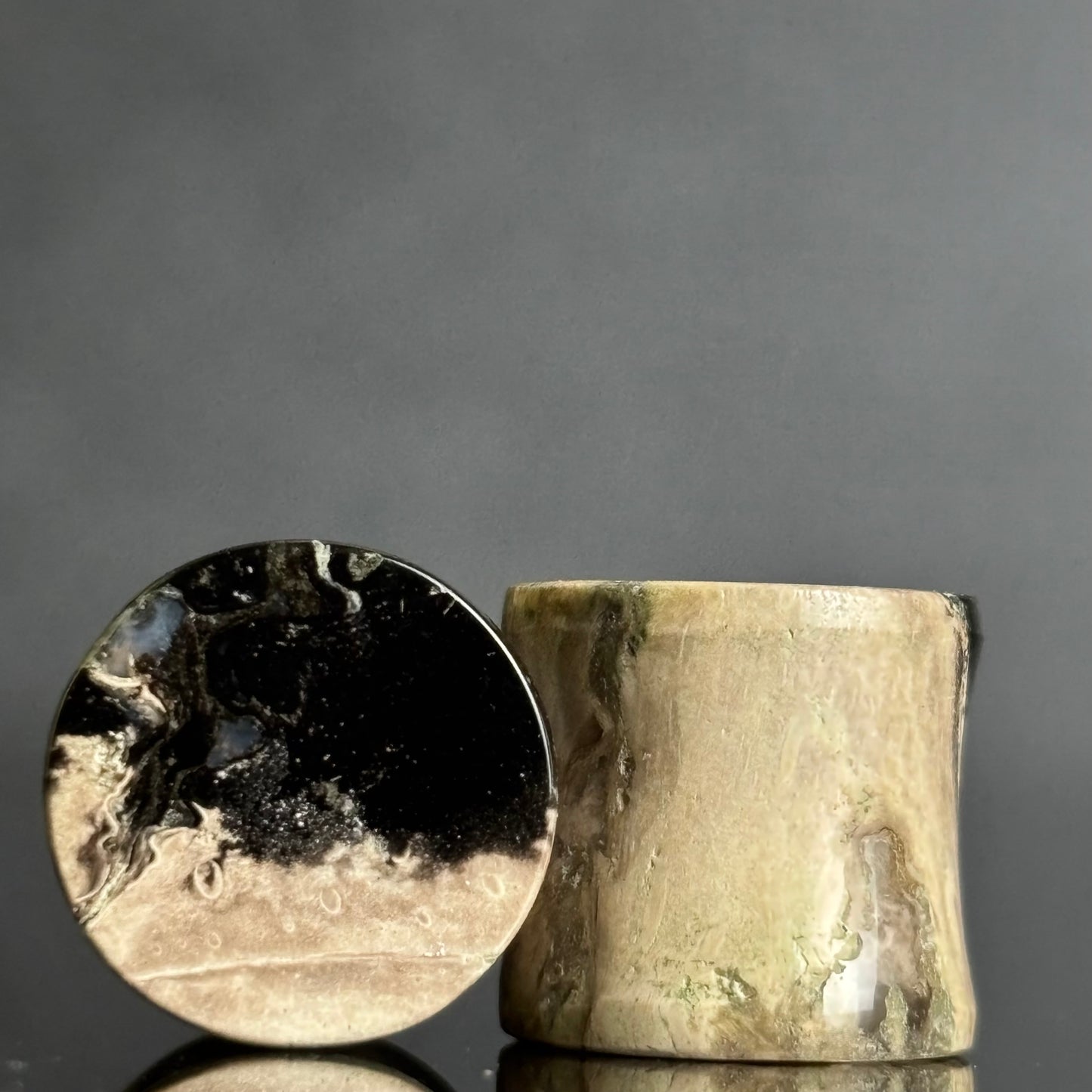 7/ 16" / 11mm Petrified Palm Root
