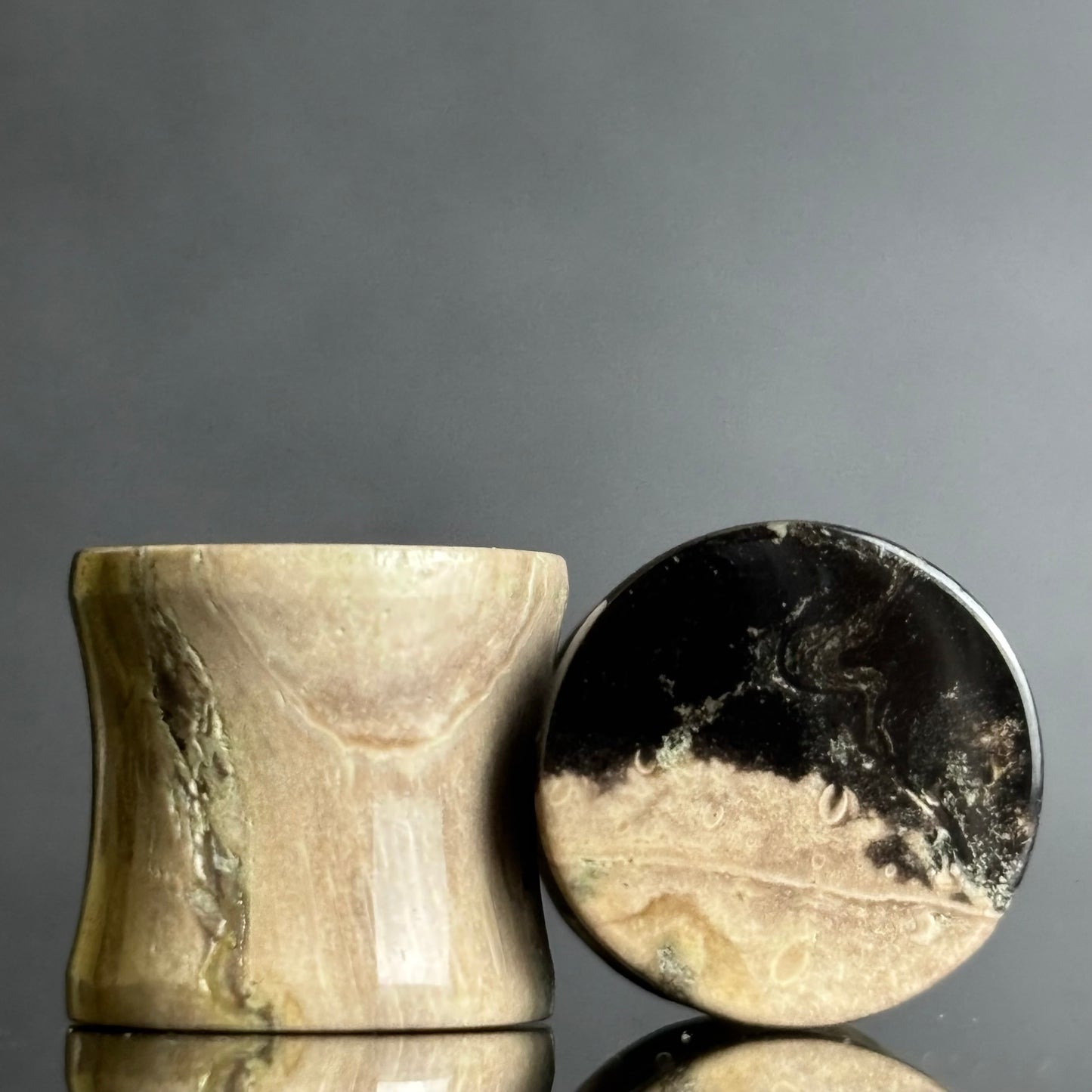 7/ 16" / 11mm Petrified Palm Root
