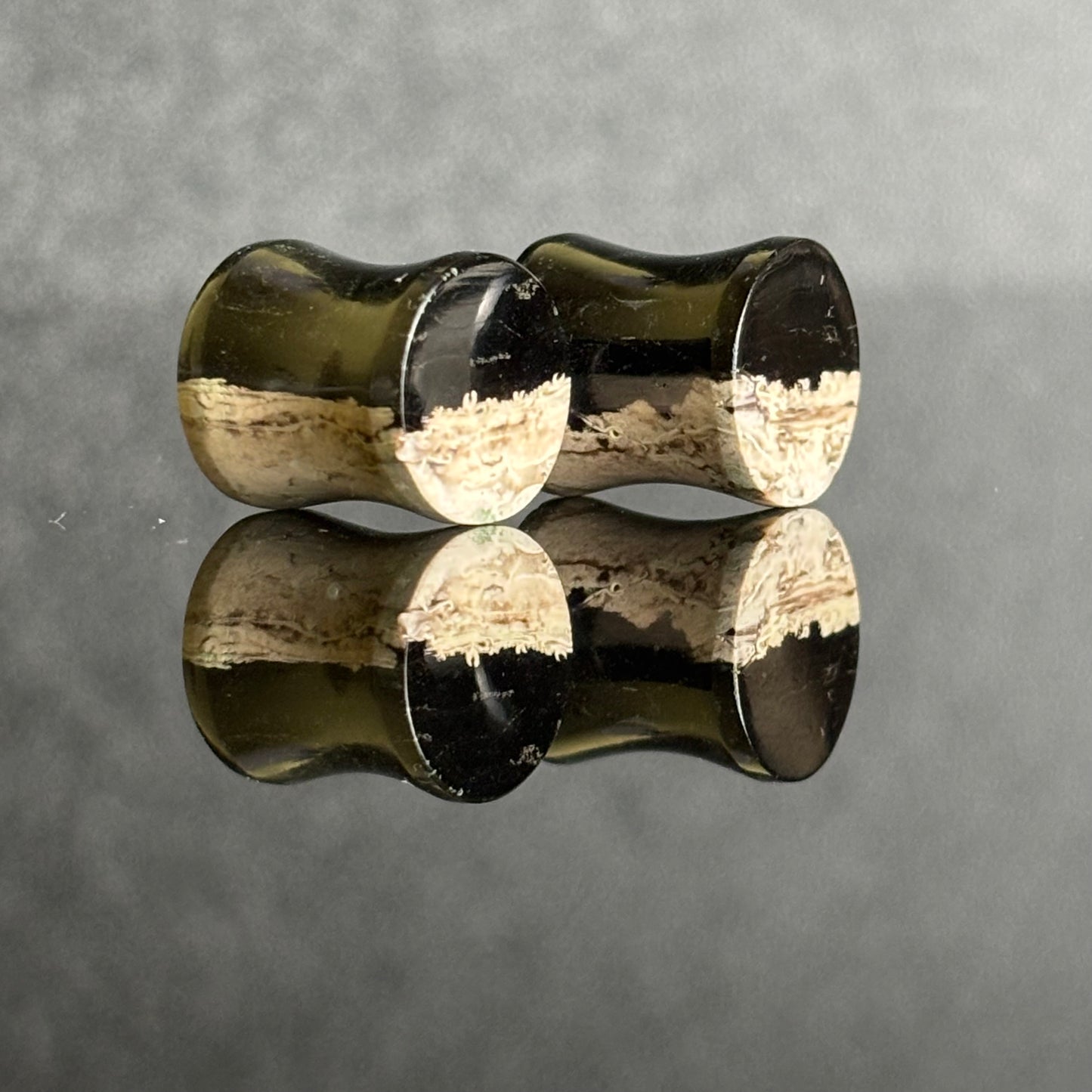 00g 9.5mm Petrified Palm Roort