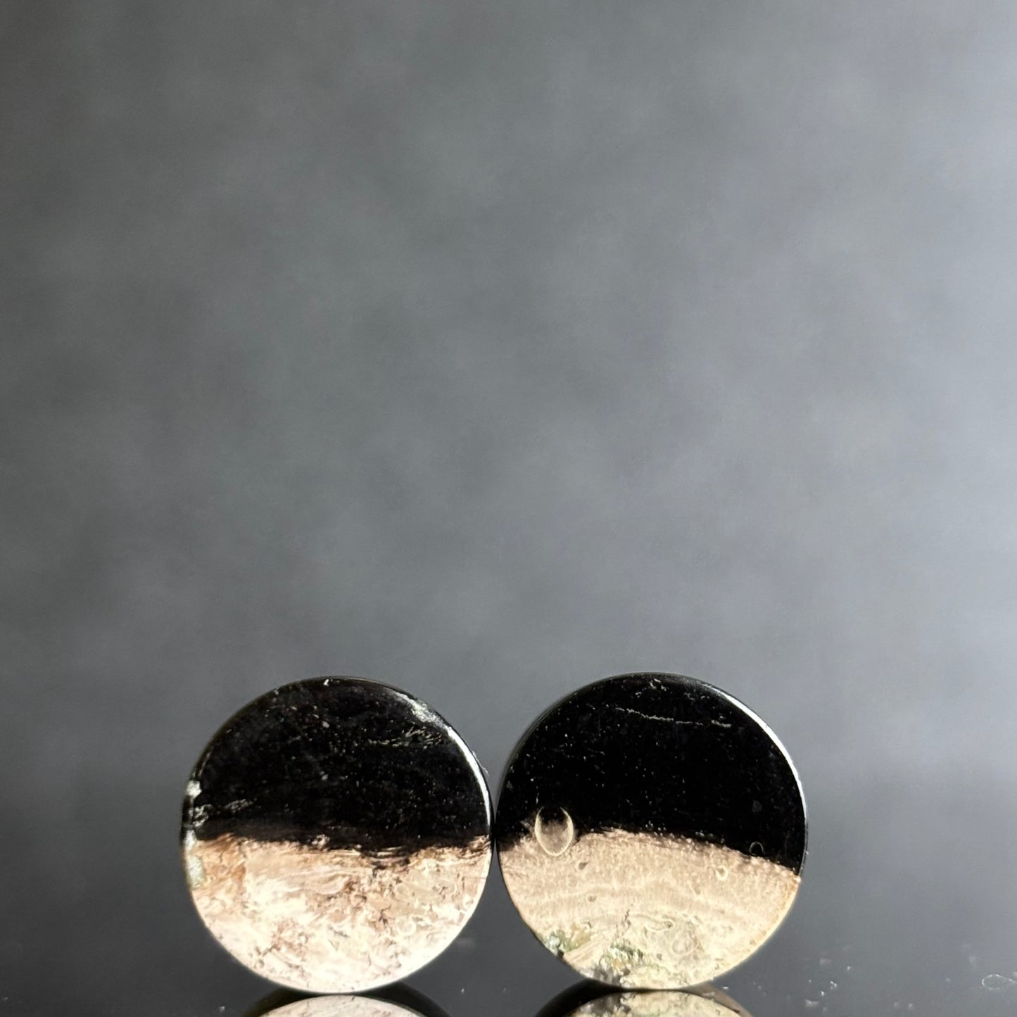 7/ 16" / 11mm Petrified Palm Root