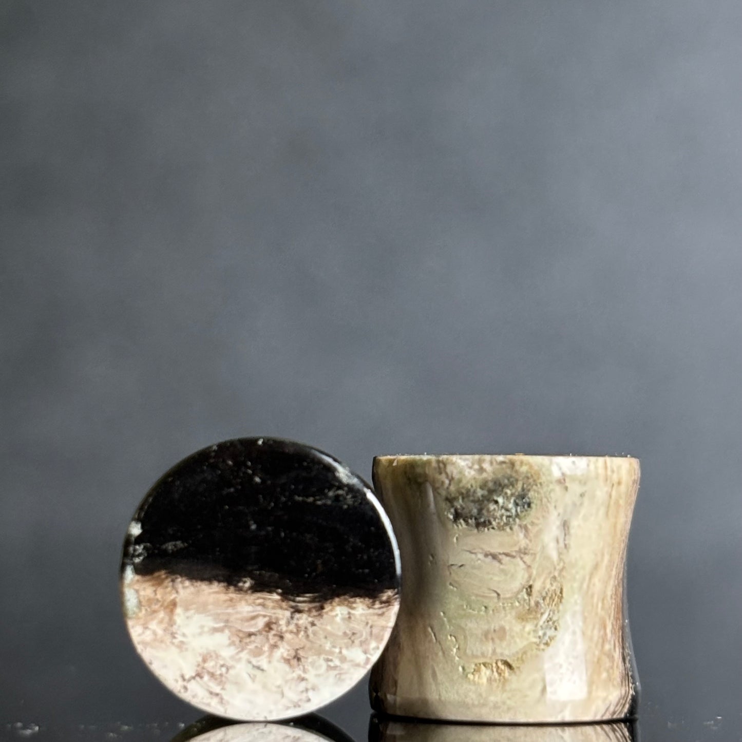 7/ 16" / 11mm Petrified Palm Root