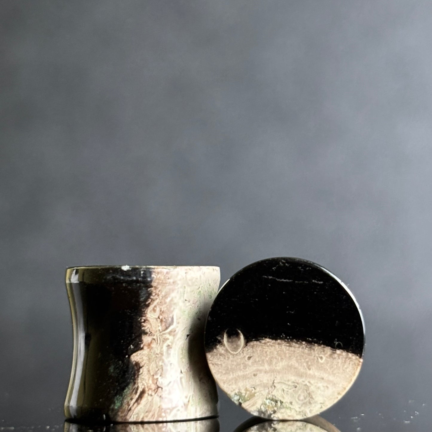 7/ 16" / 11mm Petrified Palm Root