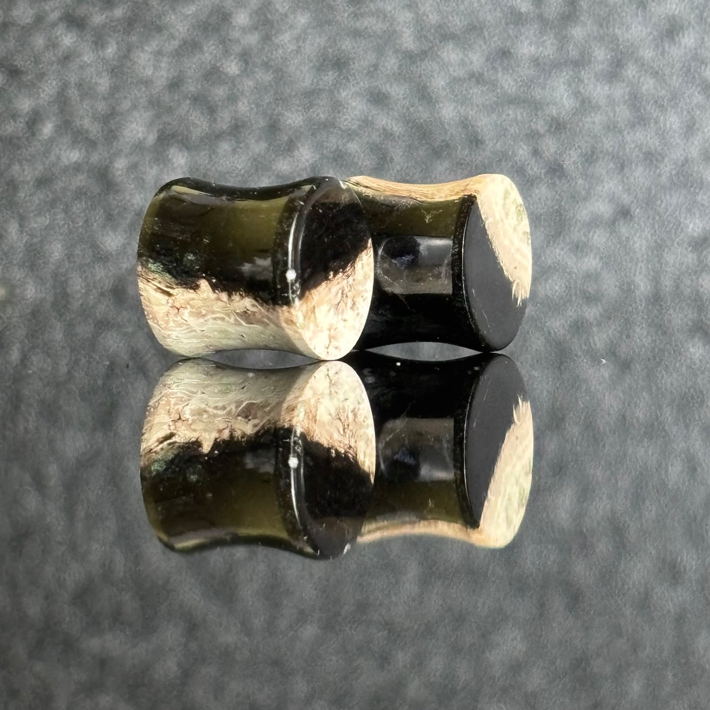 7/ 16" / 11mm Petrified Palm Root